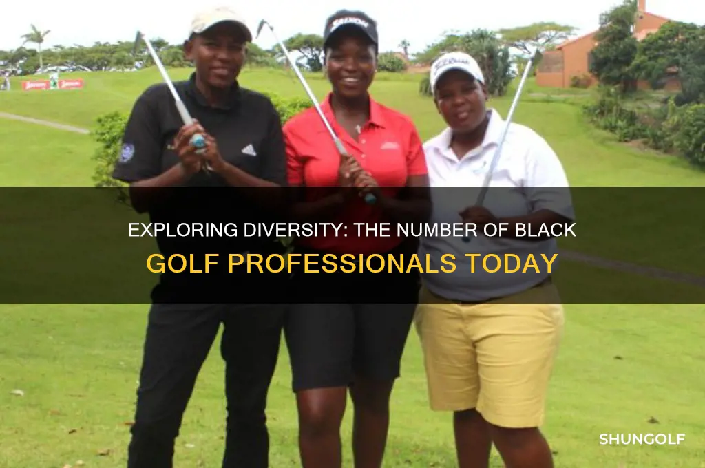 how many black golf pros are there