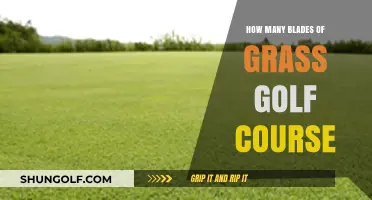 Exploring the Astonishing Number of Grass Blades on a Golf Course