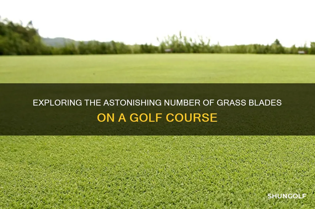 how many blades of grass golf course