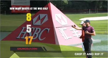 Analyzing Bogeys at the WGC Golf Event on August 5, 2017