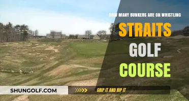 Exploring Whistling Straits: Uncovering the Number of Bunkers on the Course