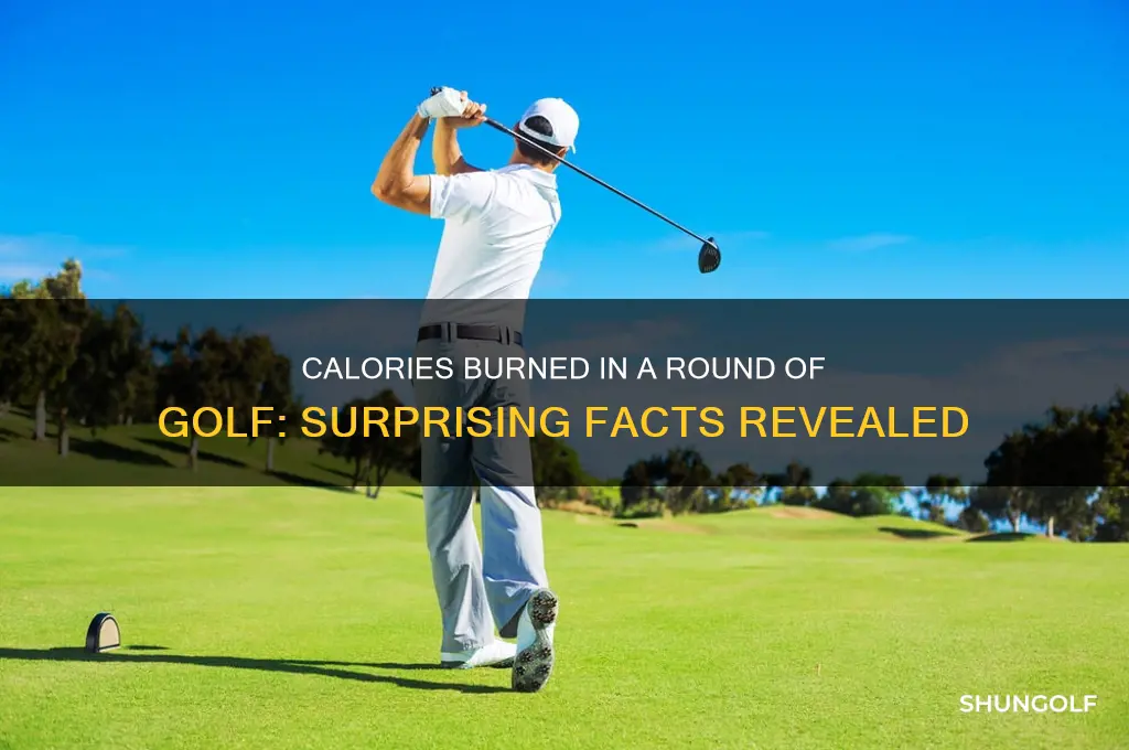 how many calories are burned in a round of golf