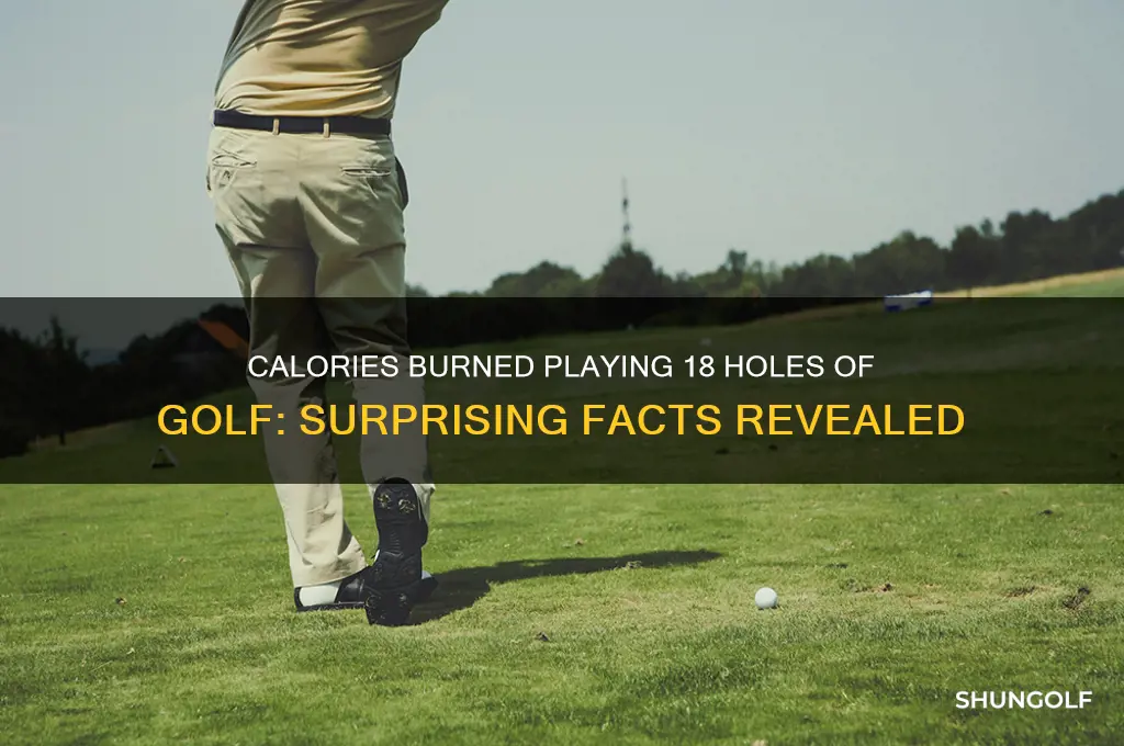how many calories are burned playing 18 holes golf