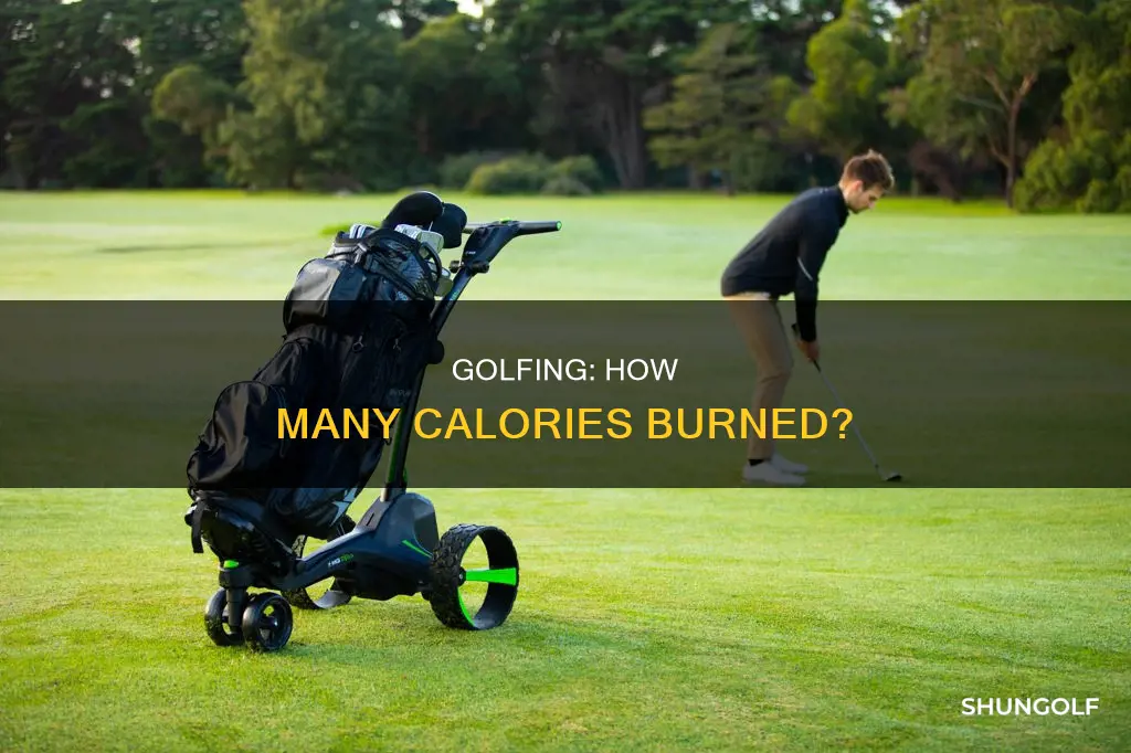 how many calories burn golf