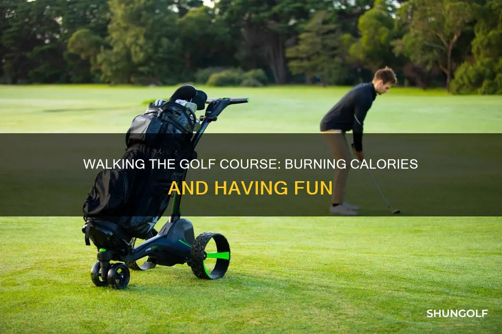 how many calories burn walking golf