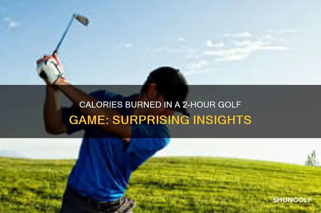 how many calories burned playing golf for 2 hours