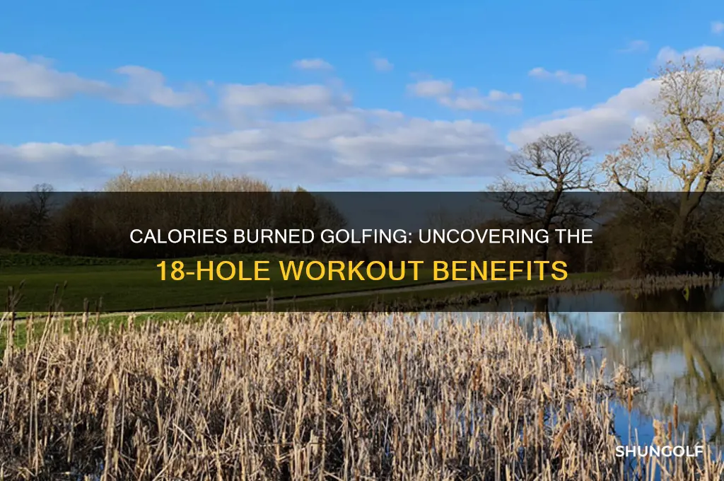 how many calories do you burn golfing 18 holes