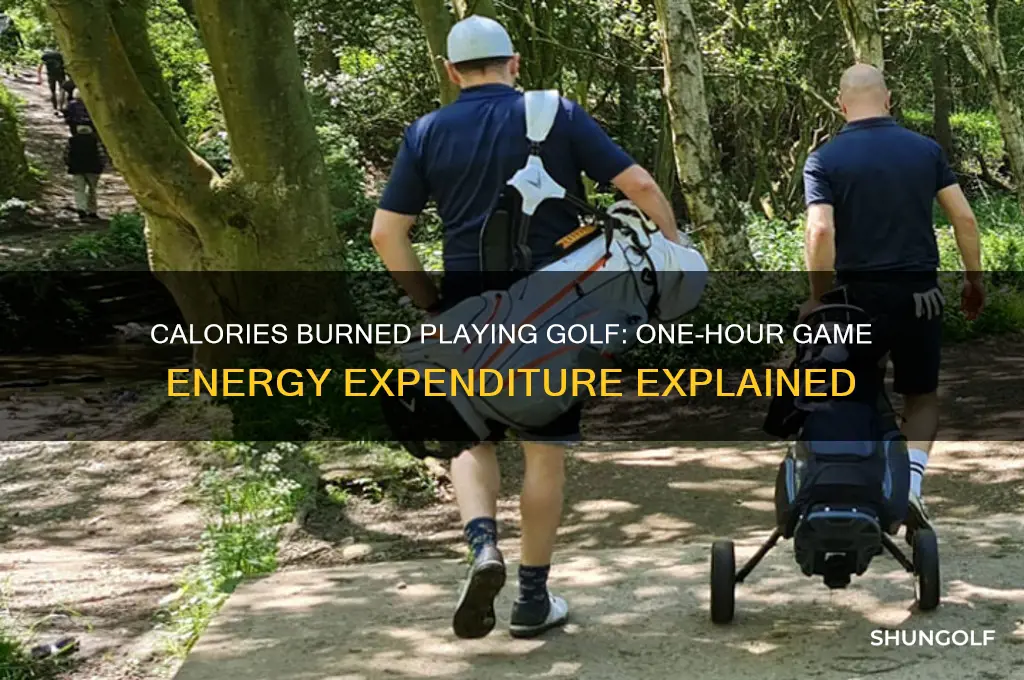 how many calories do you burn playing golf foran hour
