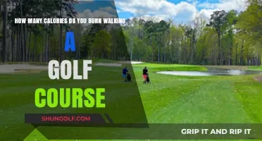 Calories Burned Walking a Golf Course: Surprising Fitness Benefits
