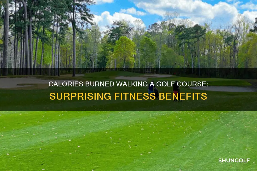 how many calories do you burn walking a golf course