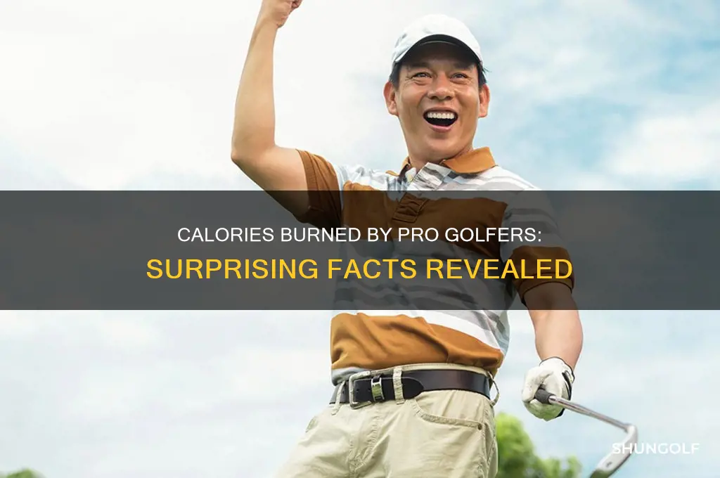 how many calories does a pro golfer burn