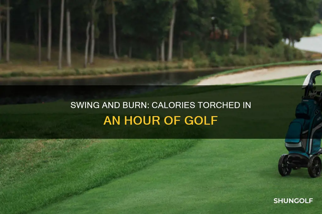 how many calories does an hour of golf burn