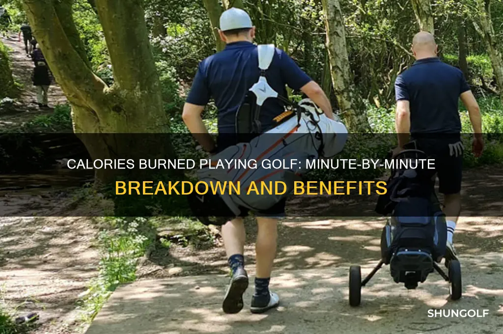 how many calories does playing golf burn per minute