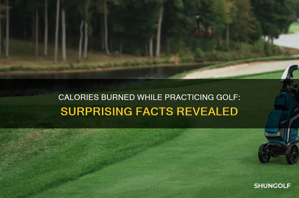 how many calories does practicing golf burn