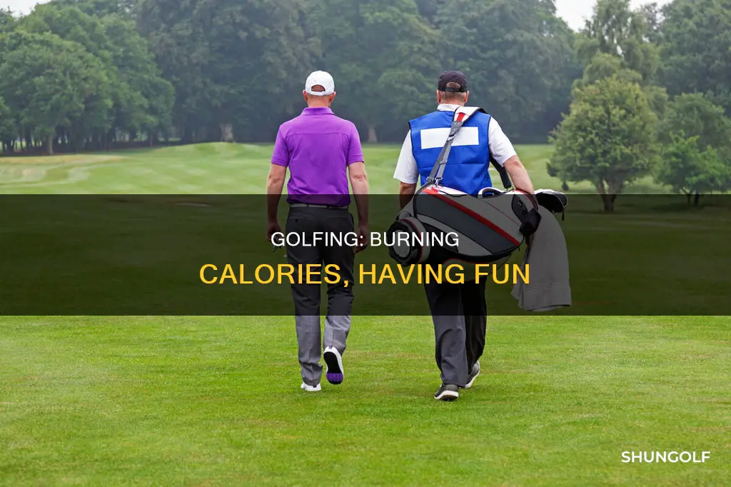 how many calories golfing