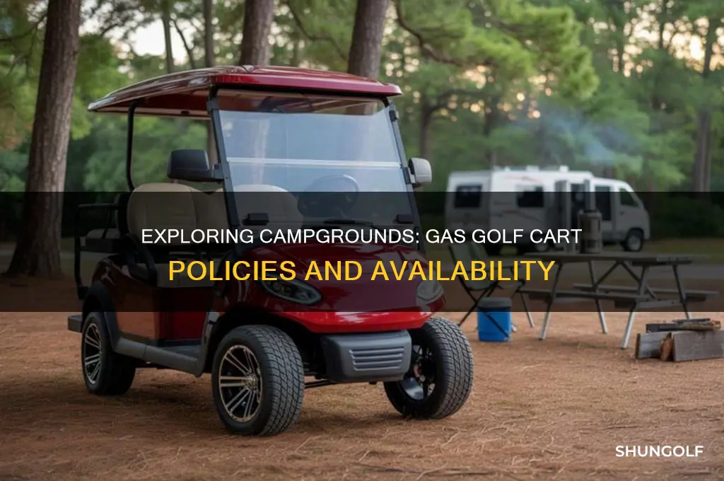 how many campgrounds allow gas golf carts