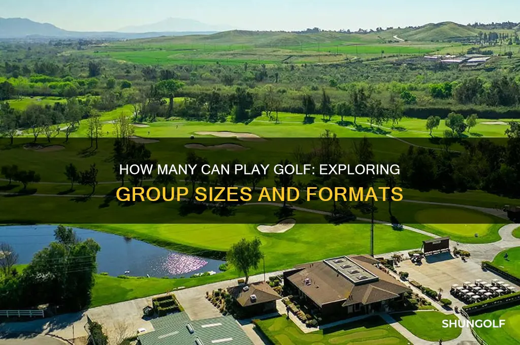 how many can play golf
