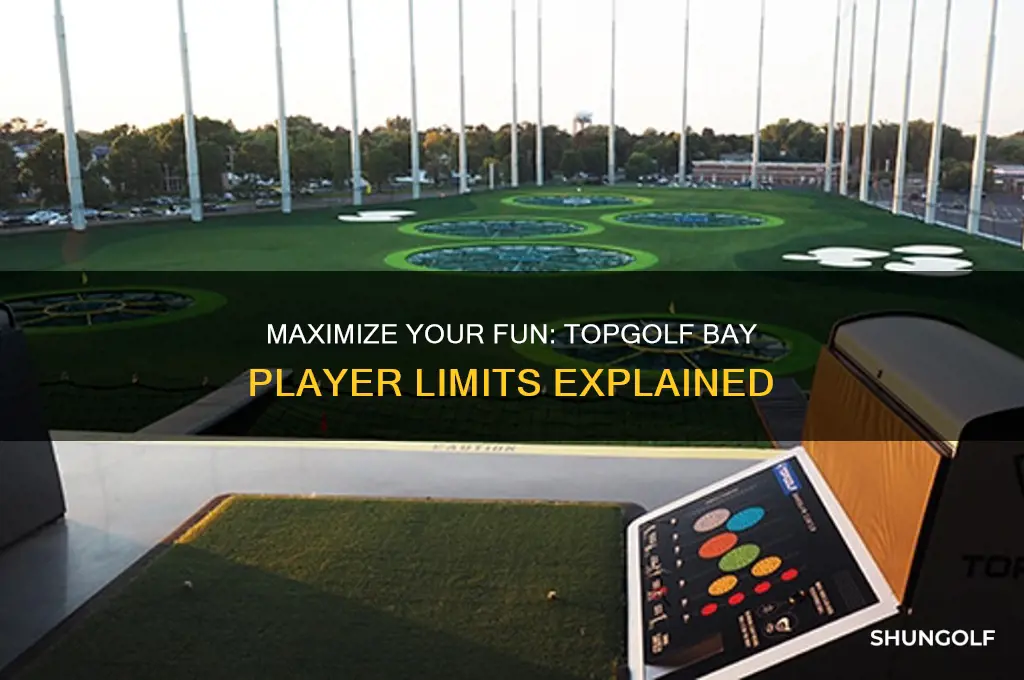 how many can play in a bay at top golf