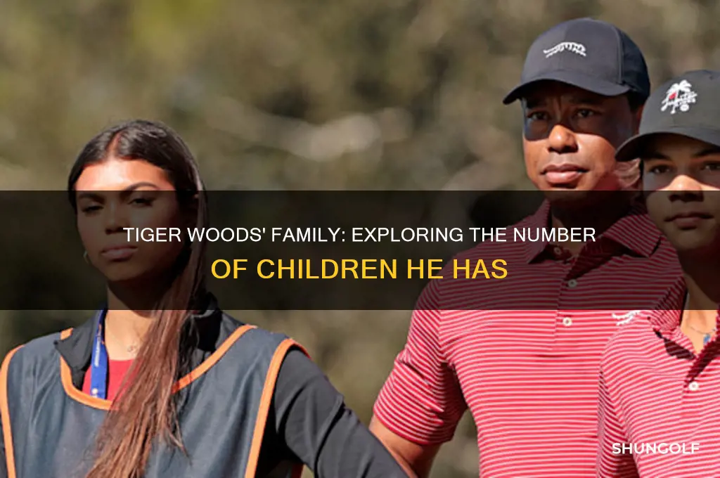 how many children does the golfer tiger woods have