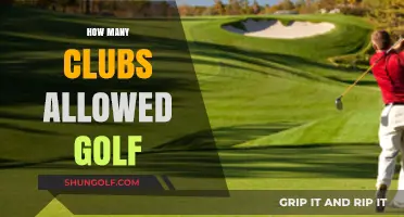Understanding Golf's Club Limit: How Many Clubs Are Allowed in Your Bag?