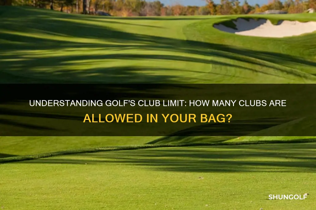 how many clubs allowed golf