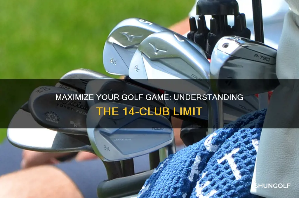 how many clubs can a golfer carry in his bag