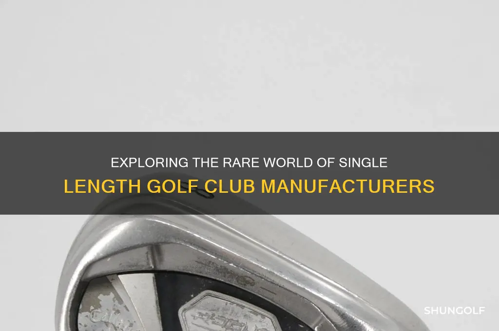 how many companies make single length golf clubs
