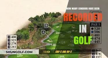 Unbelievable Golf Feats: Tracking the Rarity of Condor Scores