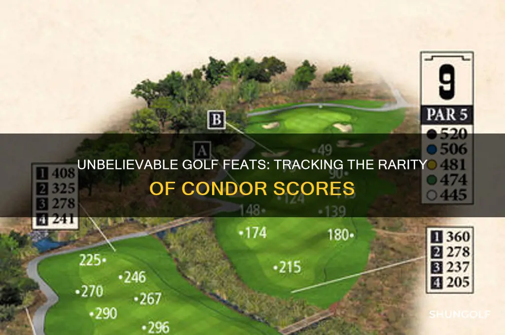 how many condors have been recorded in golf