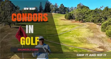 Golf's Rare Condor: How Many Times Achieved?