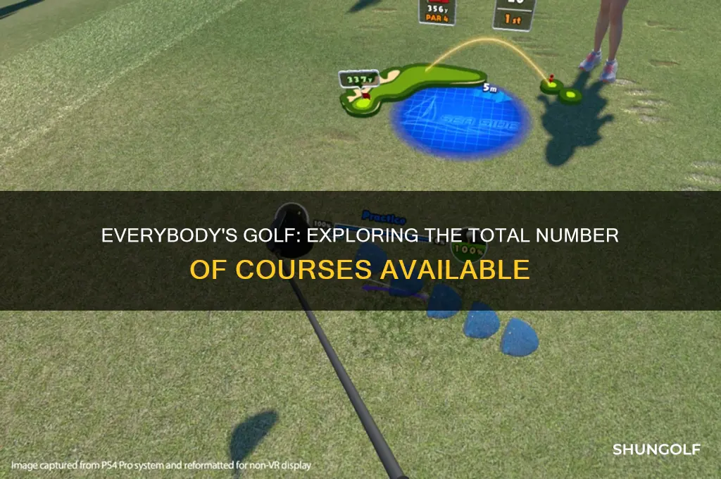 how many courses are in everybody