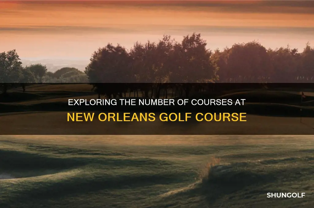 how many courses are on the new orleans golf course