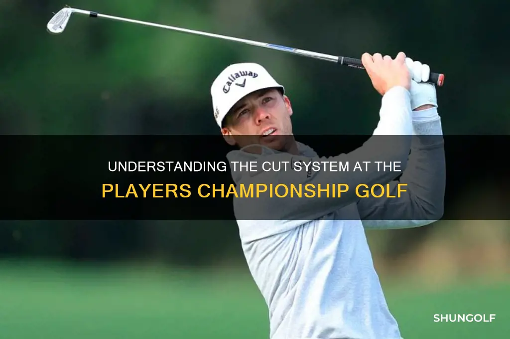 how many cuts are there at the players championship golf