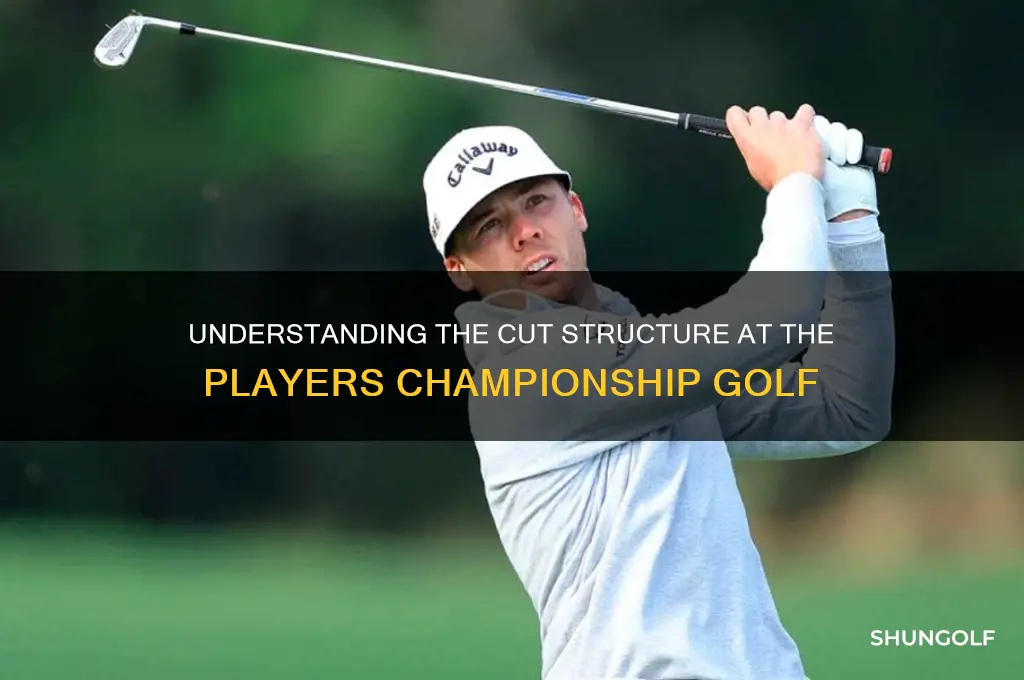 how many cuts are there at the playerschampionship golf