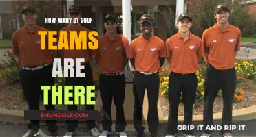 Exploring the Total Number of Division 1 College Golf Teams
