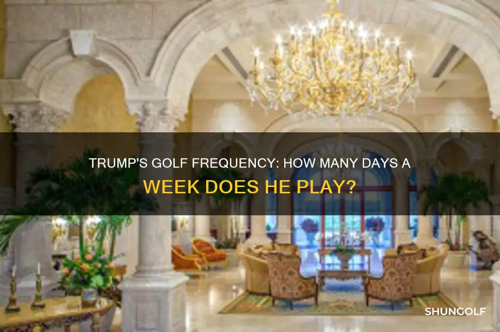 how many days a week does trump golf