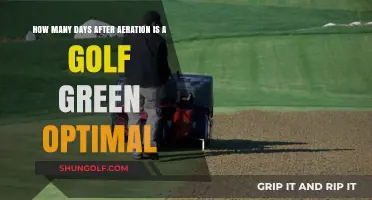 Optimal Golf Green Recovery: Timing After Aeration for Peak Performance