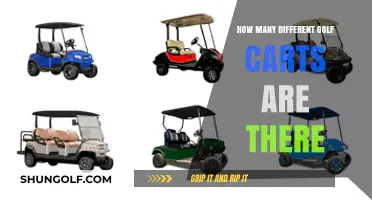Exploring the Diverse World of Golf Carts: Types and Variations