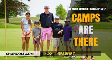 Exploring the Diverse World of Golf Camps: Types and Options