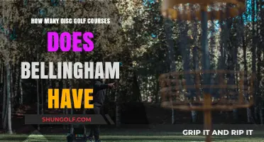 Exploring Bellingham's Disc Golf Scene: Course Count and Highlights