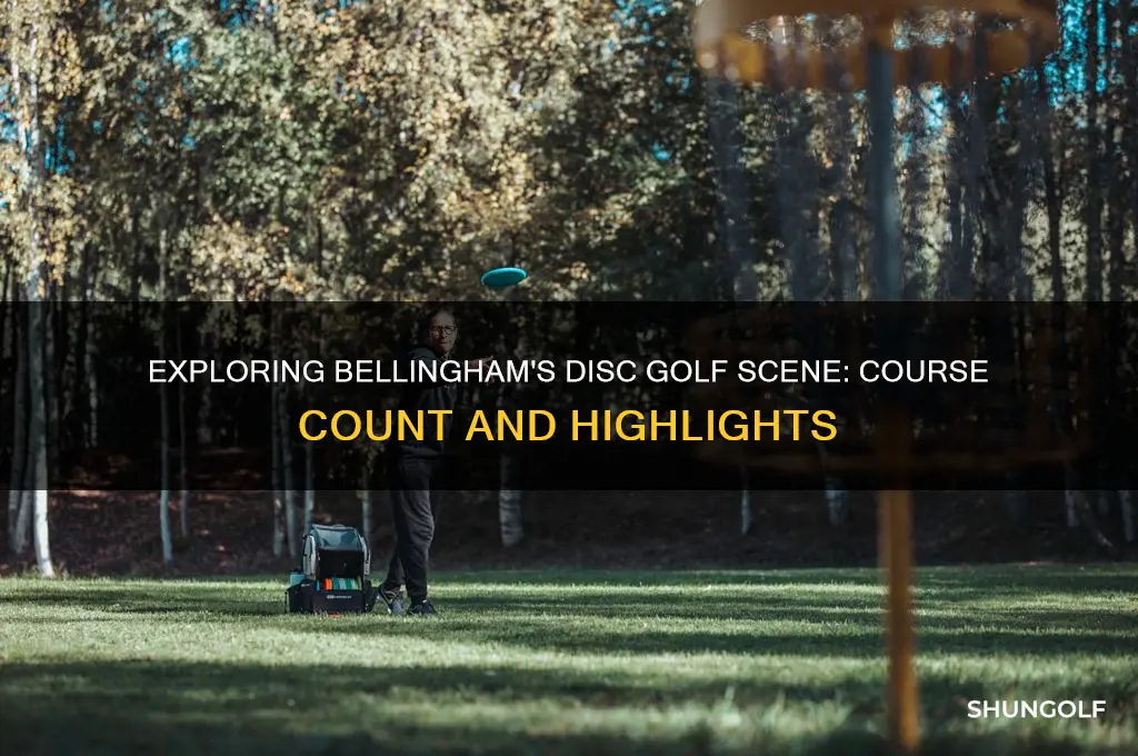 how many disc golf courses does bellingham have