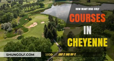 Exploring Cheyenne's Disc Golf Scene: Course Count and Locations