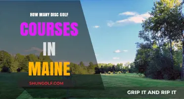 Exploring Maine's Growing Number of Disc Golf Courses