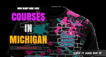Exploring Michigan's Disc Golf Scene: Course Count and Locations