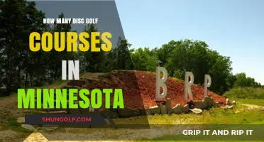 Exploring Minnesota's Disc Golf Scene: Course Count and Locations