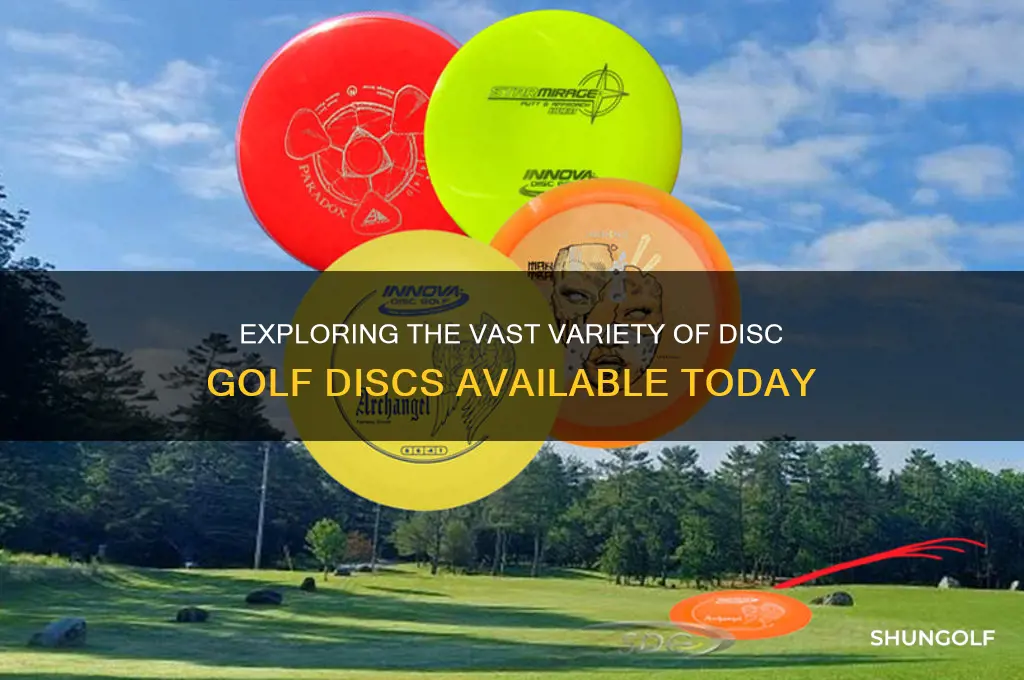 how many disk golf disks are their