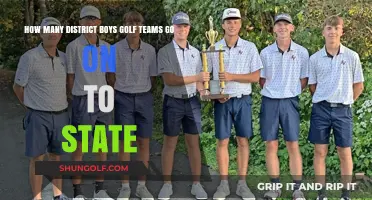 District Boys Golf Teams Advancing to State: A Comprehensive Breakdown