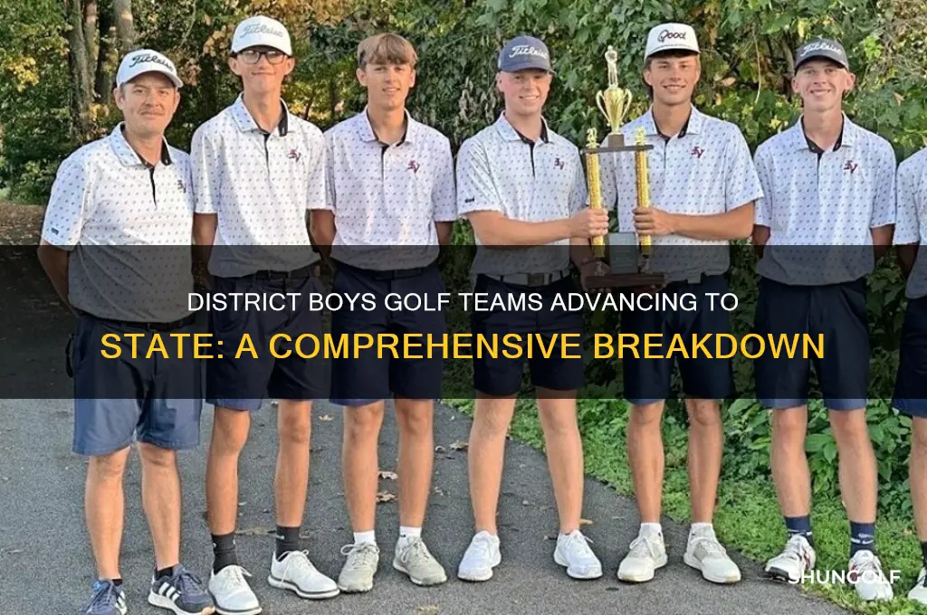 how many district boys golf teams go on to state