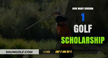 Golf Scholarships: D1 Offers for Talented Players