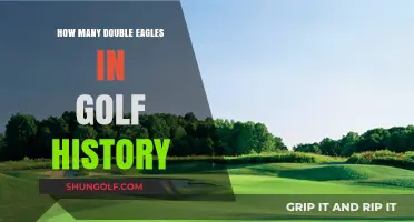 Unveiling Golf's Rarest Feat: Double Eagles Throughout History